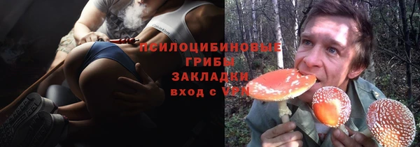 бутират Иннополис