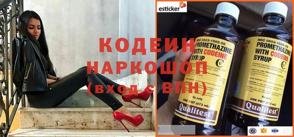 стаф Инсар