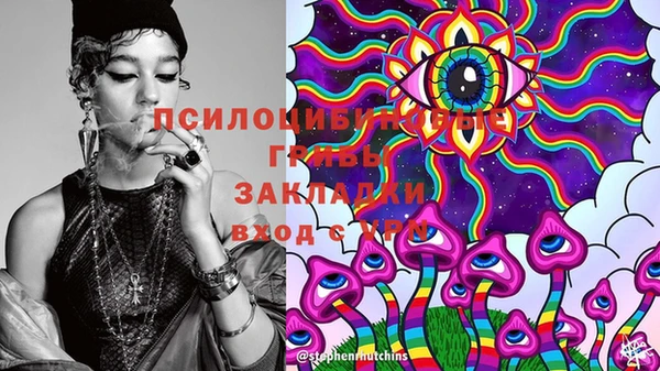 стаф Инсар