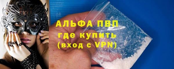 стаф Инсар