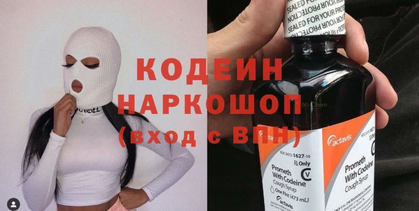 стаф Инсар