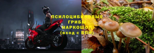марки lsd Инта