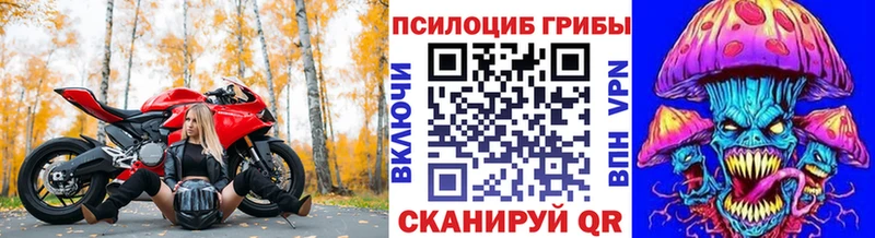 Купить закладки  Зеленодольск  Галлюциногенные грибы мицелий 