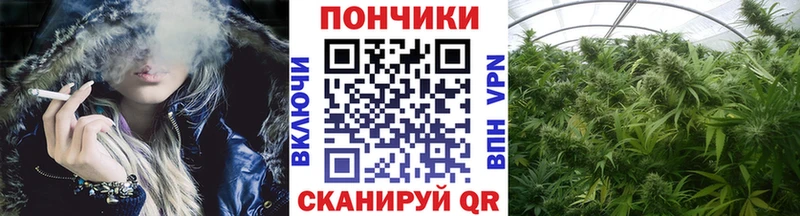 Купить где  Зеленодольск  Каннабис тримм 